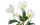 Botanic-Haus Kunstblume Christrosen 3-er Set, 62 cm, Weiss