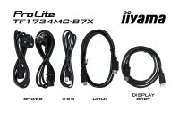 iiyama Monitor ProLite TF1734MC-B7X