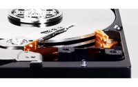 Western Digital Harddisk WD Blue 3.5" SATA 2 TB
