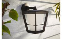 Philips Hue White & Color Ambiance Econic Outdoor Wandl. Hängend Schwarz