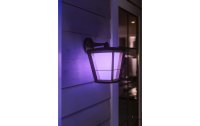 Philips Hue White & Color Ambiance Econic Outdoor Wandl. Hängend Schwarz