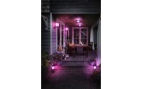 Philips Hue White & Color Ambiance Econic Outdoor Wandl. Stehend Schwarz