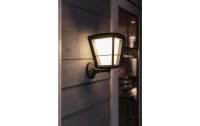 Philips Hue White & Color Ambiance Econic Outdoor Wandl. Stehend Schwarz