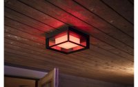 Philips Hue White & Color Ambiance Econic Outdoor Wandl. eckig Schwarz