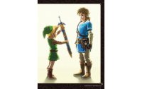 Dark Horse Artbook The Legend of Zelda: BOW CAC Heros Edition