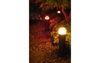 Philips Hue White & Color Ambiance Outdoor Calla Sockel. gross, NV