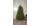 Star Trading Weihnachtsbaum Narvik, 2.1 m, Grün, 300 LED