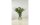 Montana Vase Basic 20 cm Transparent