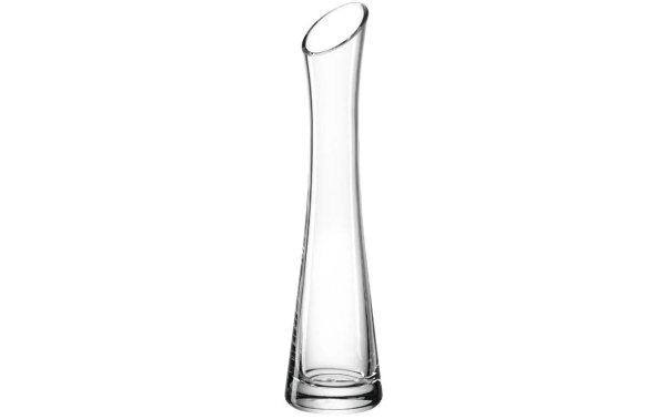 Montana Vase Flower 25 cm Transparent