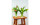 Montana Vase Fiori Grande 17 cm Transparent