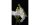 Venus Optic Festbrennweite Laowa 58mm f/2.8X Ultra Macro APO – E-Mount