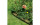 Gardena Beeteinfassung Rolle 20 cm hoch, 9 m lang braun