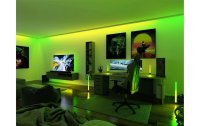 Paulmann EntertainLED USB Strip TV-Beleuchtung RGB+, 55"
