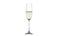 Spiegelau Champagnerglas Salute 210 ml, 4 Stück, Transparent