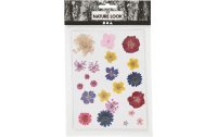 Creativ Company Streudeko Gepresste Blüten, 22 farbig sortiert