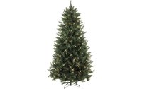 Star Trading Weihnachtsbaum Calgary 450 LED, 2.1 m
