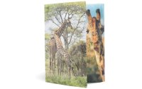 HERMA Gummibandmappe A4 Giraffe, Polypropylen, mit Innendruck