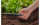 Gardena Verschlussstopfen Micro-Drip-System 13 mm (1/2"), 5 Stück