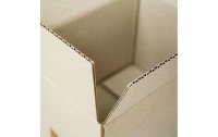 Antalis Versandkarton GrasBox 29 x 19 x 18.4 cm, 25 Stück
