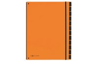 Pagna Ordnungsmappe A4 Trend Orange, 12 Fächer