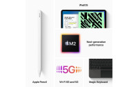 Apple iPad Pro 12.9" 2022 M2 Cellular 256 GB Grau