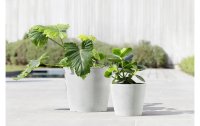 Ecopots Pflanzentopf Amsterdam 30, Weiss