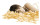 Albis Albis Arven 600 Duvet mit Arvenholzspänen 240 x 240 cm