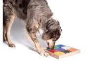 My Intelligent Dogs Strategie-Spiel Sodoku Expert M Rainbow