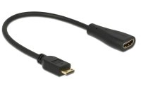 Delock Adapterkabel Mini-HDMI (HDMI-C) - HDMI
