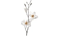 Leonardo Kunstblume Magnolienzweig Vernazza 40 cm, 12...