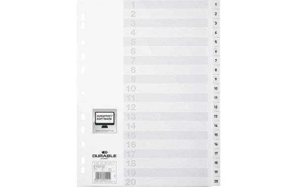 DURABLE Register A4 1-20, mit Indexblatt