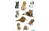 Herma Stickers Motivsticker Hundefotos, 3 Blatt