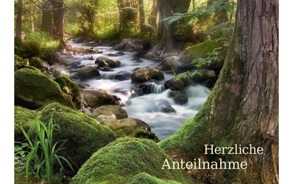 Natur Verlag Trauerkarte Bächlein im Wald 17.5 x 12.2 cm