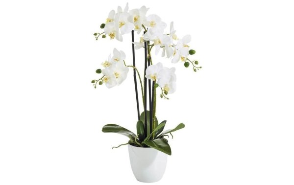 Botanic-Haus Kunstblume Phalenopsis  im Topf, 4 Rispen, Weiss