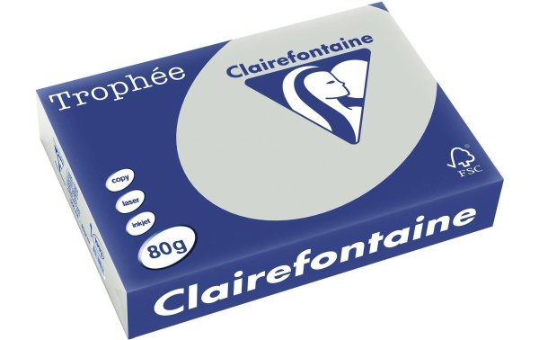 Clairefontaine Kopierpapier Trophée A4, 80 g/m², Grau, 500 Blatt