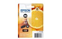 Epson Tinte T33414012 Photo Black