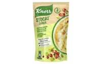 Knorr Stocki Snack Frühlingszwiebeln mit Speck 42 g