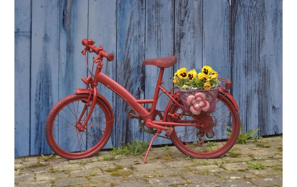 Natur Verlag Motivkarte Fahrrad 17.5 x 12.2 cm