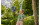 Gardena Gartenschlauch Liano Xtreme 1/2", 20 m, Set
