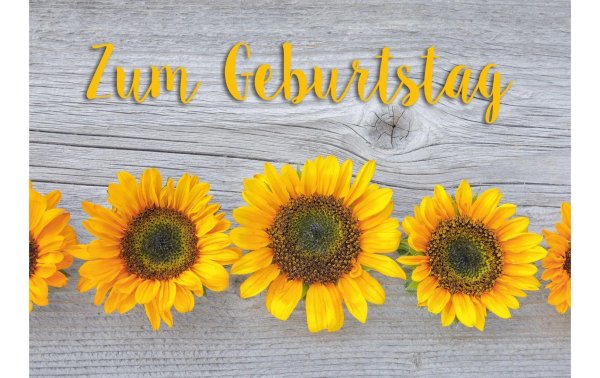 Natur Verlag Geburtstagskarte Sonnenblumen 17.5 x 12.2 cm