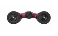 Nikon Fernglas Aculon T02 8x21 Rot