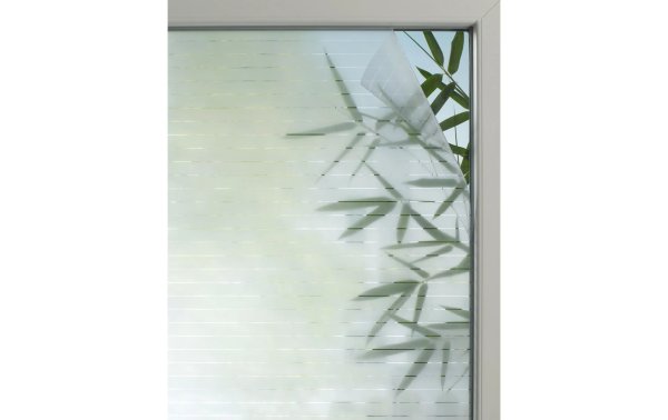 Gardinia Fensterfolie Line 25, 67.5 x 150 cm