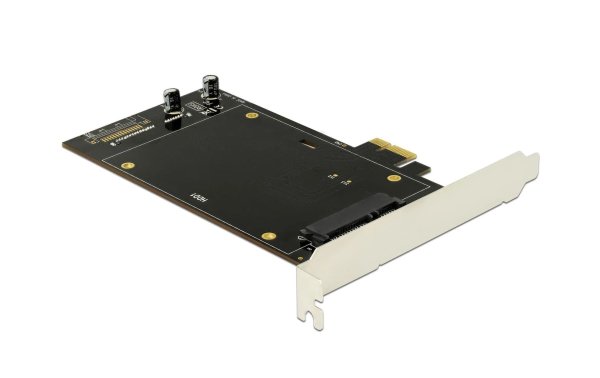 Delock SATA-Controller PCI-Express x1 - 2x SATA 2.5"