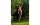 Schildkröt Funsports Slacklining Slackers Classic mit gratis Teaching Line