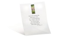 Folia Transparentpapier A4, 115 g/m²,  10 Stück, Weiss
