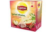 Lipton Teebeutel Warming Apple & Cinnamon 20 Stück