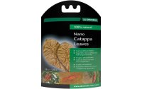 Dennerle Wasserpflege Nano Catappa Leaves, 12 x = 1200 l