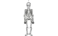 Creativ Company Halloweenfigur Papierdeko Skelett 120 cm,...