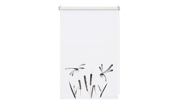 Gardinia Rollo Japandi Dragonfly 75 x 150 cm, Grau/Weiss