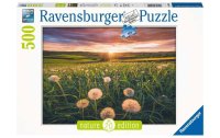 Ravensburger Puzzle Pusteblumen im Sonnenuntergang